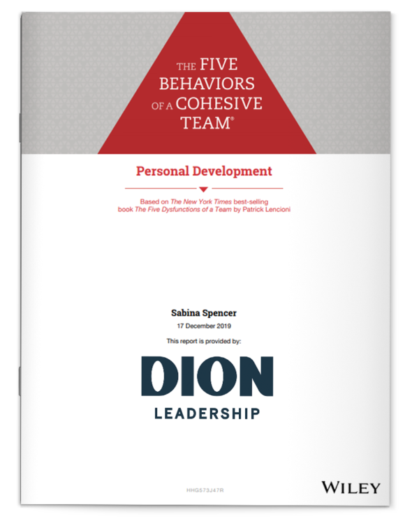 5B of a Cohesive Team Personal Development