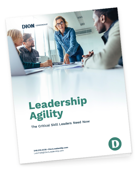 Leadership Agility-ebook-download