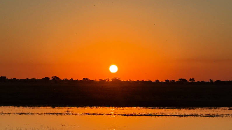 Safari-Sunset